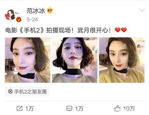 娱乐圈吃瓜真假,真假瓜果纷飞，揭秘明星幕后真相